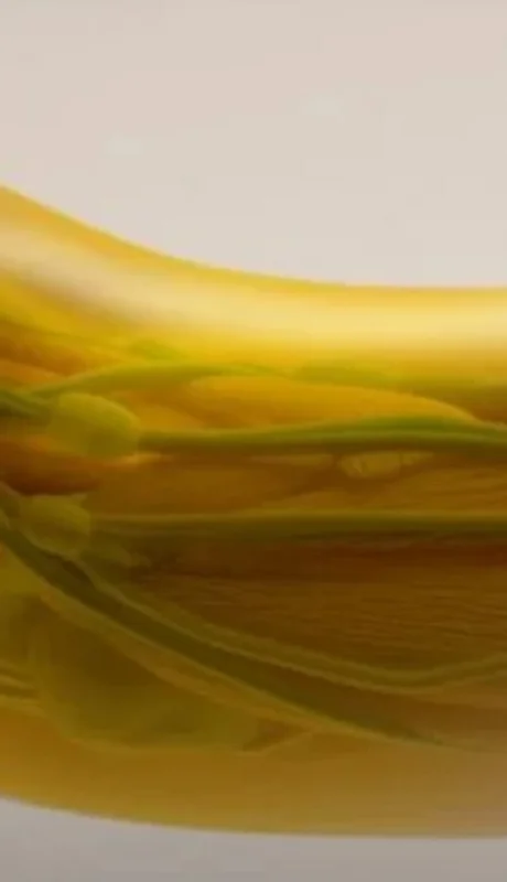 Recreación del resultado de la nueva técnica. (Imagen: web)