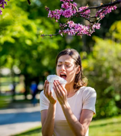 Alergias estacionales