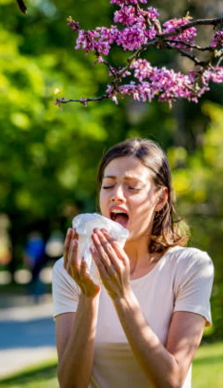Alergias estacionales