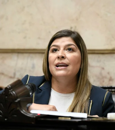 Diputada nacional del PRO, Verónica Razzini. (Imagen: web)