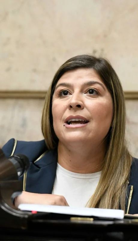 Diputada nacional del PRO, Verónica Razzini. (Imagen: web)