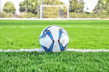 Otro equipo de la Liga Profesional se quedó sin DT, pero ya tiene reemplazante