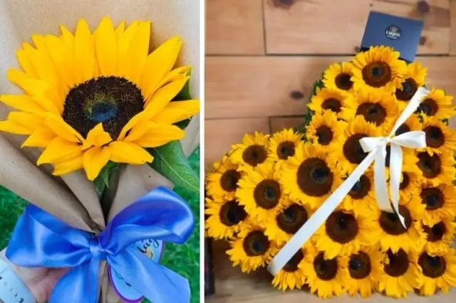 Un color que tiene su origen en la televisión argentina