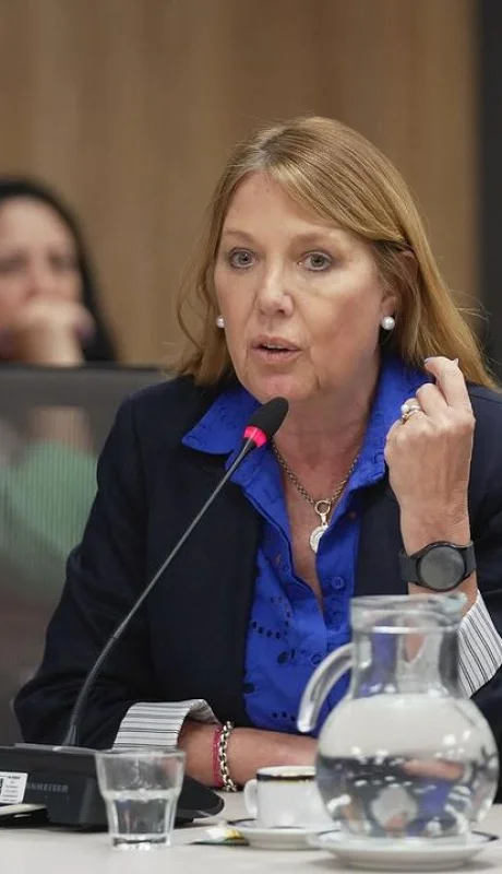 Alejandra Torres, diputada Nacional por Córdoba.