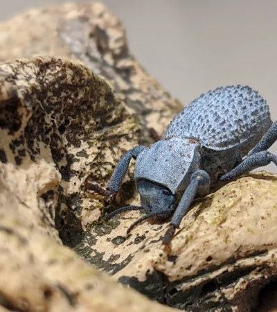 Imagen: Life Science