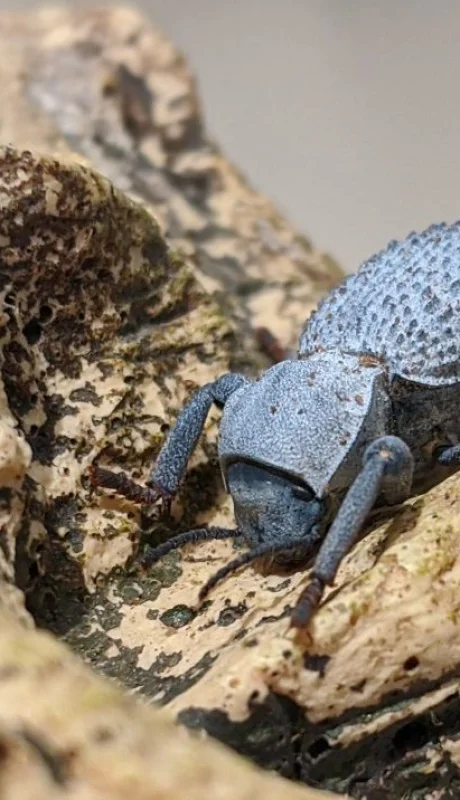 Imagen: Life Science