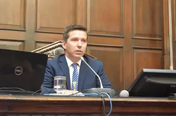 La UCR de Mendoza frente a la sanción a dos diputados nacionales