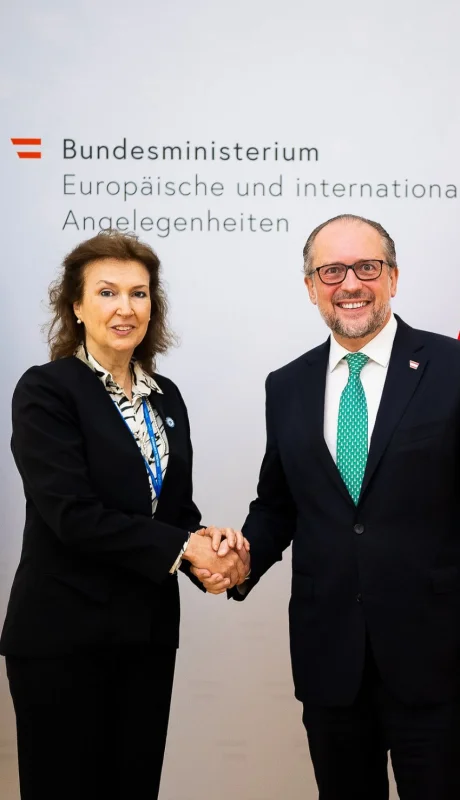 Mondino abordó un amplio abanico de temas con su par de Austria, Alexander Schallenberg