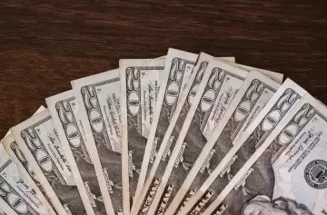 Cuándo se comenzarán a ver los "brotes verdes" en la economía