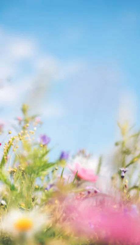 La llegada de la primavera trae muchas sorpresas.