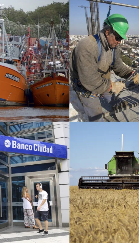 Actividad ecónomica.