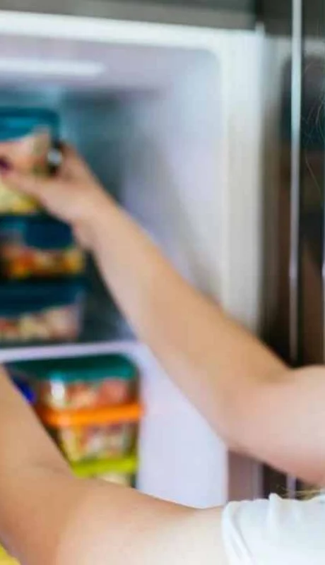 El freezer, ¿un aliado o enemigo? Descubrí los secretos para congelar y descongelar
