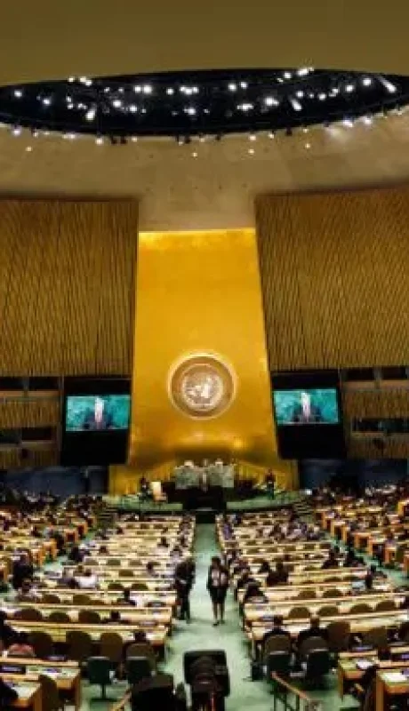 Asamblea General de las Naciones Unidas (ONU).
