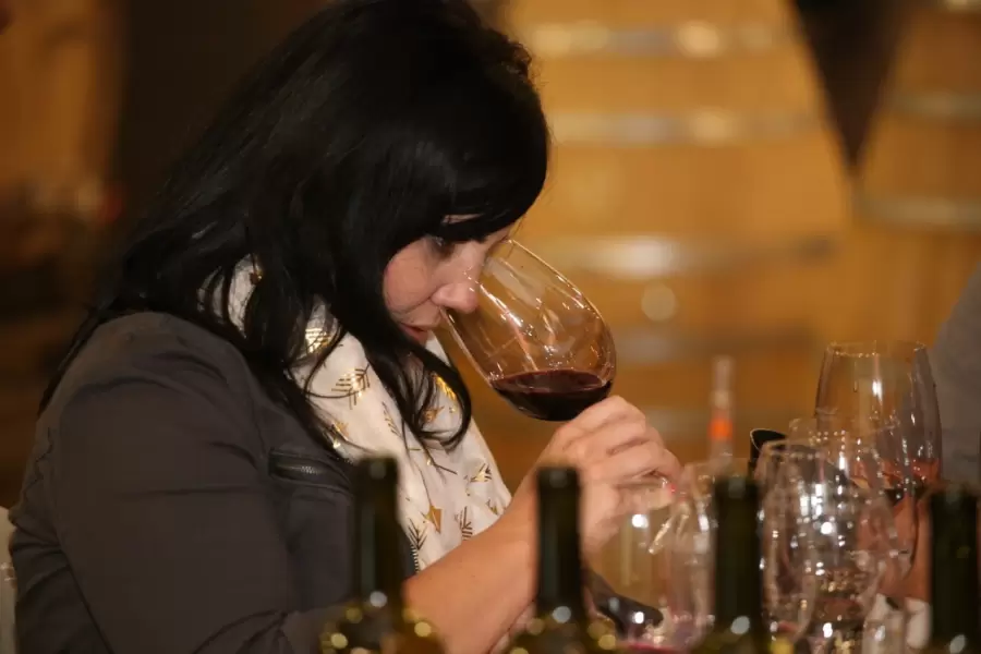 Mendoza busca consolidar su oferta turística