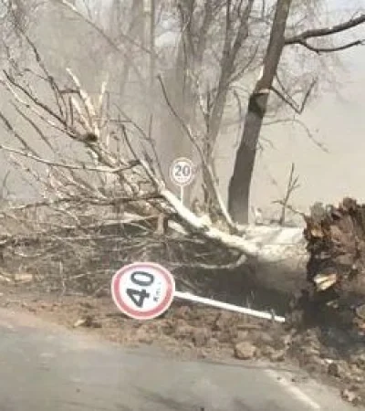 Viento Zonda en Mendoza. Imagen de Archivo