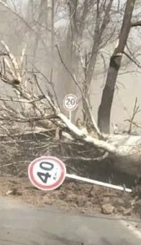 Viento Zonda en Mendoza. Imagen de Archivo