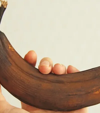 Se puede comer sola, o incluirla en infinidad de platos.