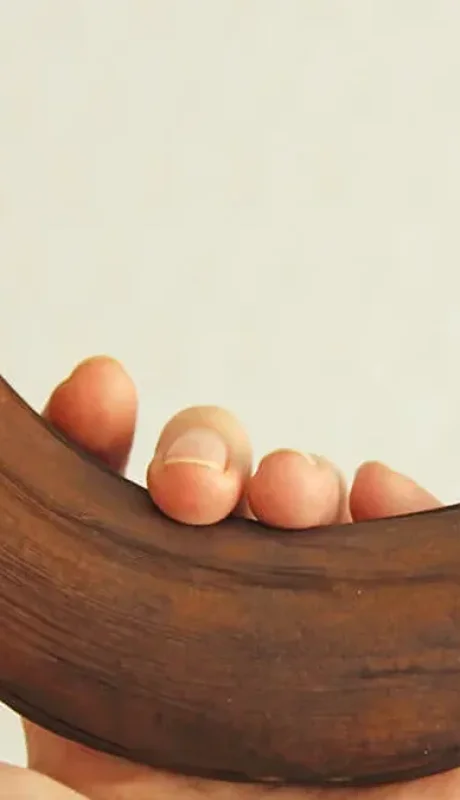 Se puede comer sola, o incluirla en infinidad de platos.