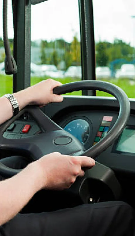 Día del colectivero.