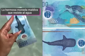 Billete de Maldivas que es resistente al agua: ¿será cierto?