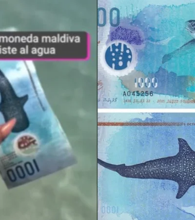 Fue emitido por primera vez en 2016 y presenta un diseño cautivado.