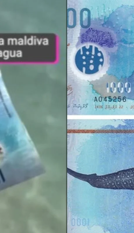 Fue emitido por primera vez en 2016 y presenta un diseño cautivado.