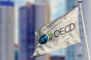 La OCDE empeoró su pronóstico para la economía argentina este año: -4%
