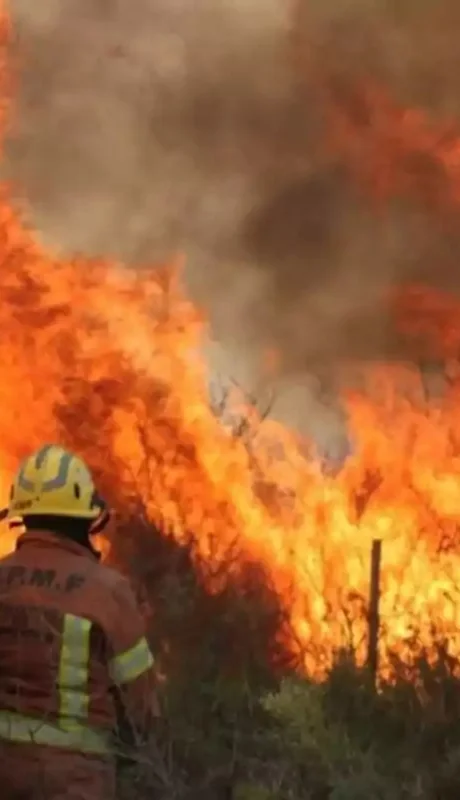 El proyecto declara la emergencia ambiental en Córdoba por 180 días
