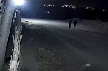 Inseguridad: vecinos se organizan con alarmas, ballestas y rondines