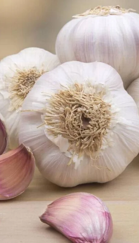 Ajo crudo: propiedades, beneficios y formas de consumirlo