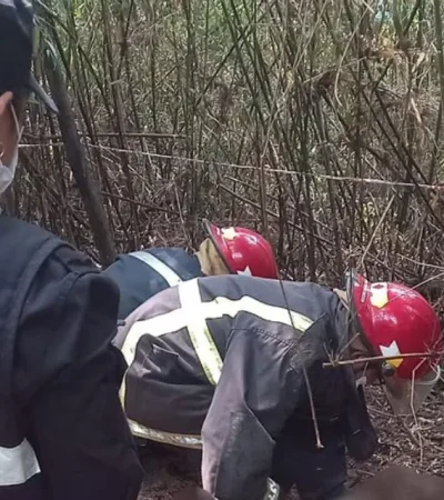 Miembros de la Policía Científica trabajan en el lugar donde fue encontrado el cadáver. (Foto: web)
