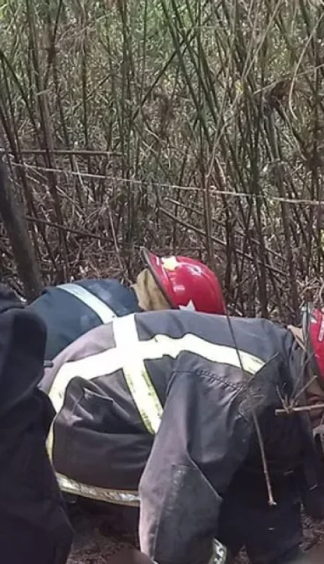 Miembros de la Policía Científica trabajan en el lugar donde fue encontrado el cadáver. (Foto: web)