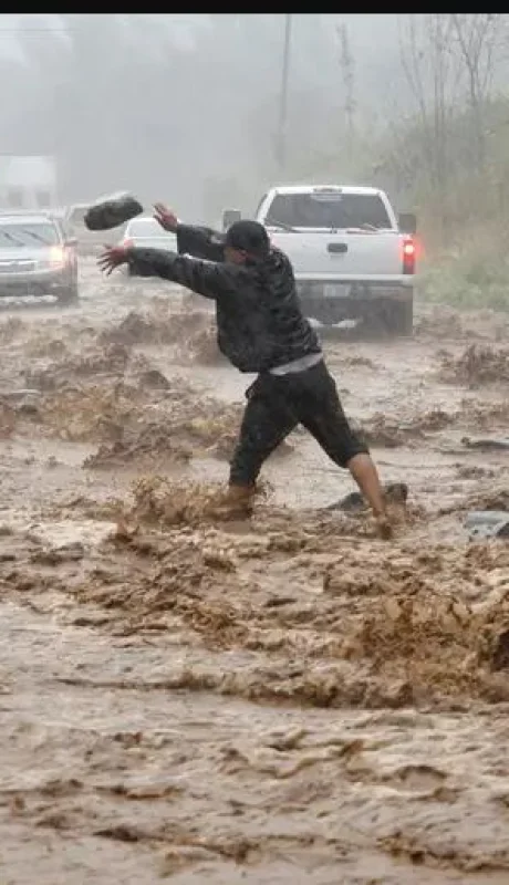 El paso del huracán dejó catastróficas consecuencias en el sureste de EE.UU.