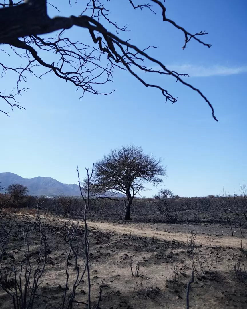 Lo importante: no se han registrado pérdidas humanas