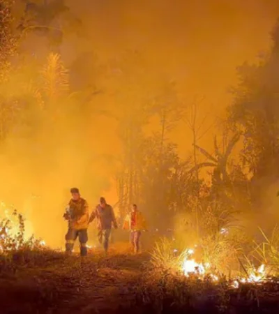 El Gobierno de Luis Arce se ha visto desbordado por los frentes de incendios y tendrá que recurrir a un fuerte apoyo internacional.
