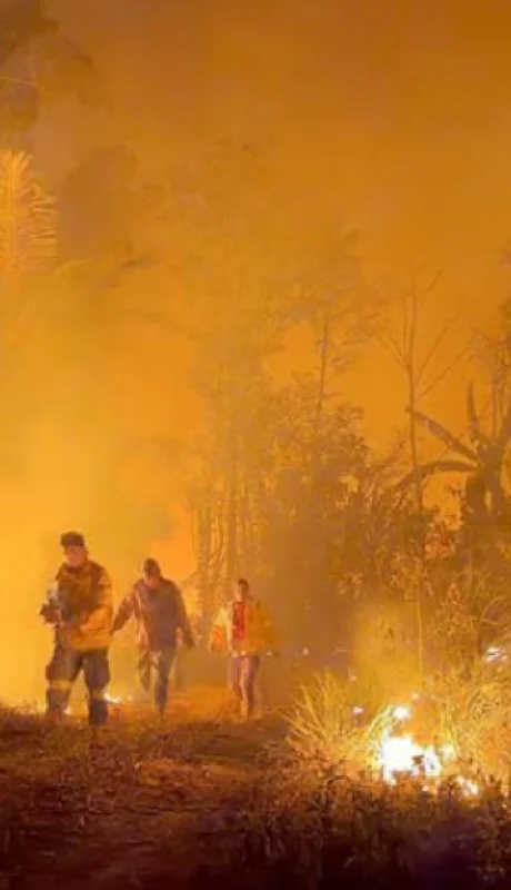 El Gobierno de Luis Arce se ha visto desbordado por los frentes de incendios y tendrá que recurrir a un fuerte apoyo internacional.