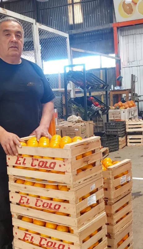 Titular de la Unión Frutihortícola Argentina, Omar Carrasco.