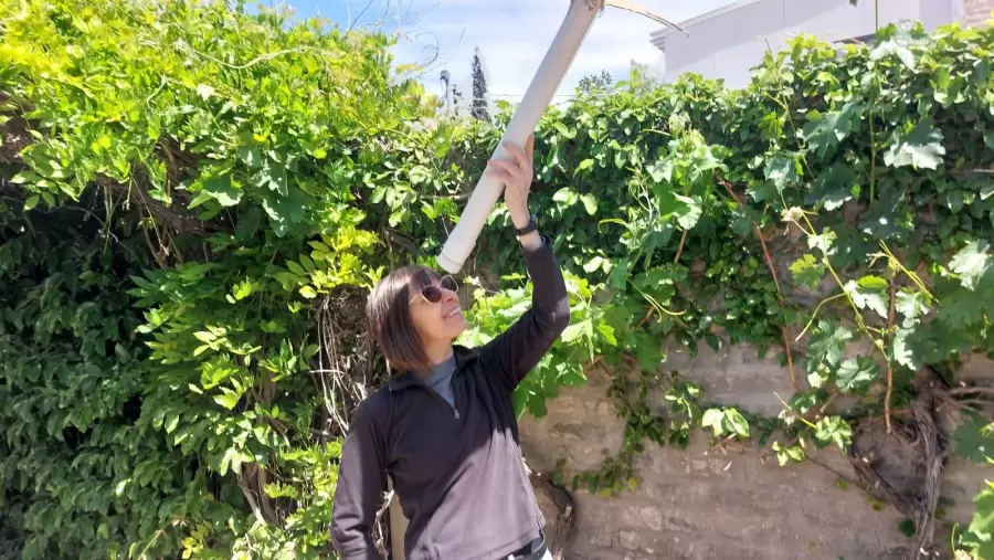 Cómo ver el eclipse