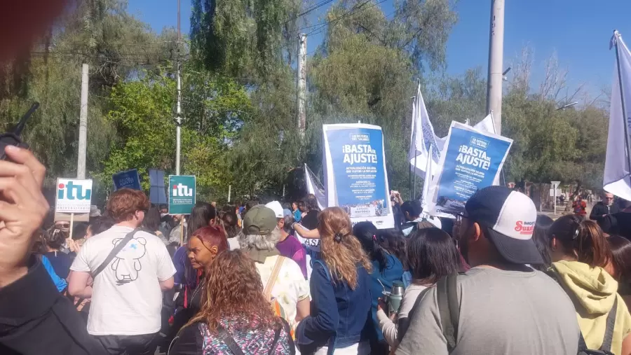marcha universitaria 2