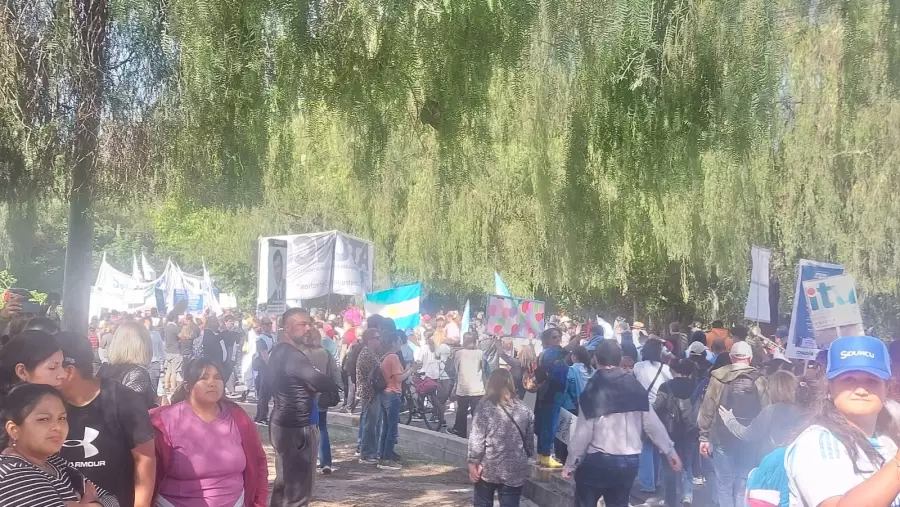 marcha universitaria 3