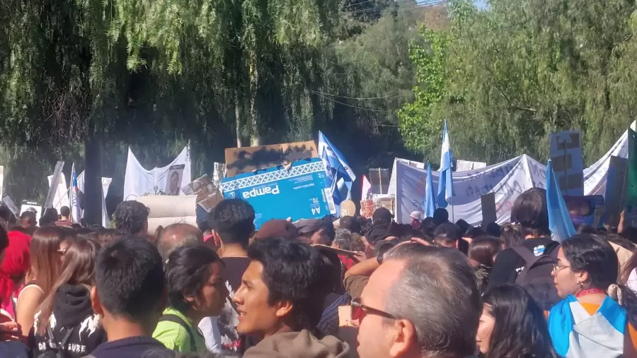 marcha universitaria 4