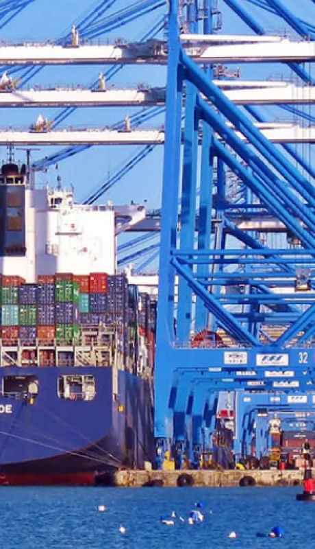 El Gobierno redujo aranceles de importación de neumáticos para autos y motos, plásticos, pequeños electrodomésticos y productos de uso doméstico.