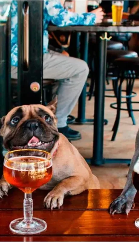 Una ciudad pet friendly