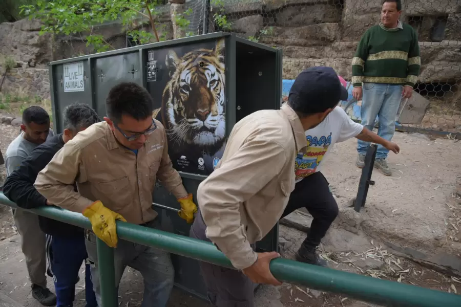 El traslado de Lucy comienza por tierra