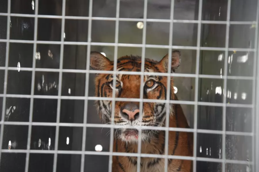 Lucy finalmente tendrá la vida que merece