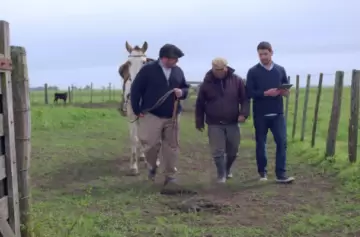 El primer Estatuto del Peón de Campo cumple 80 años en Argentina