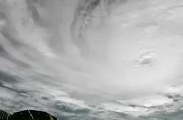 Alcaldesa de Tampa: "Si deciden quedarse en una zona de evacuación, van a morir"