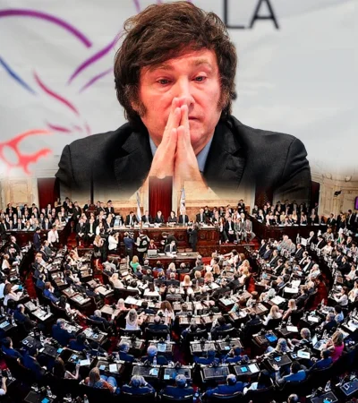 Javier Milei Vs. el Congreso Nacional