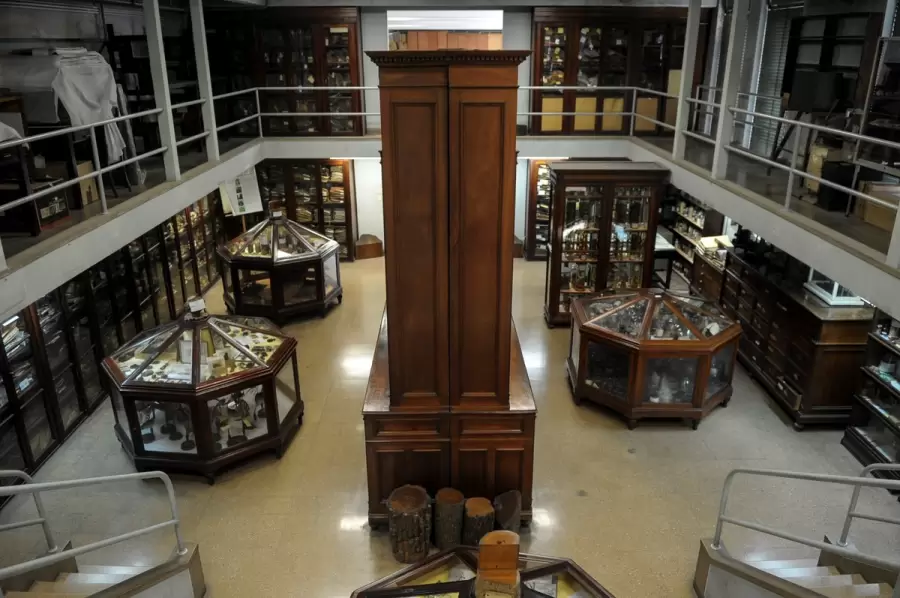 Facultad de FArmacia