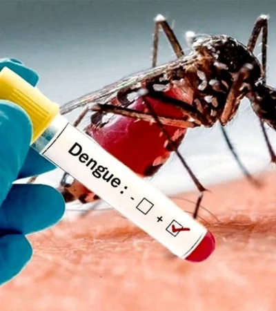 Combatir la epidemia